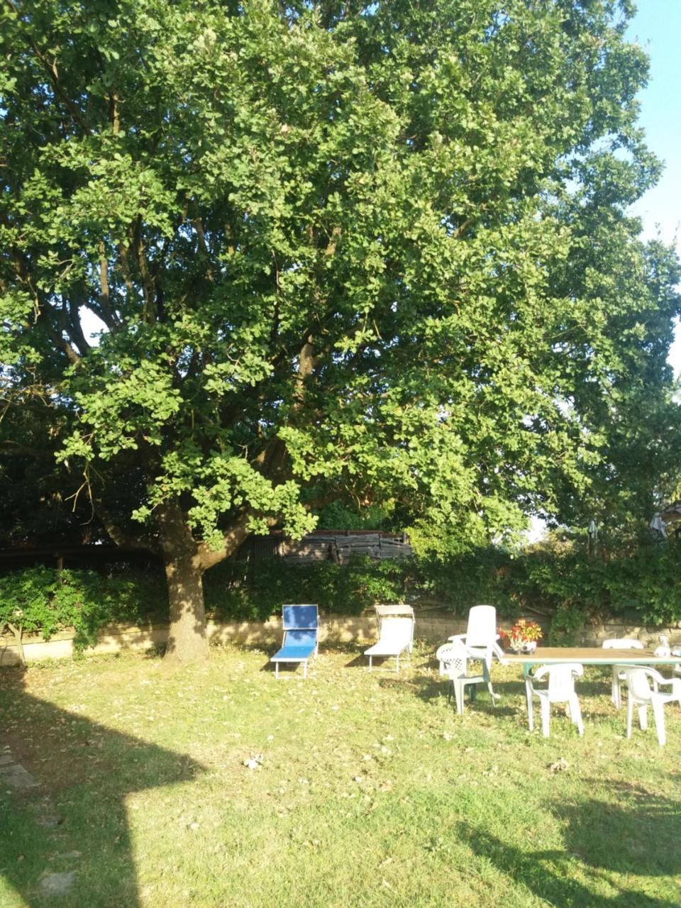 Autenticum Agriturismo Villa Canale Monterano Dış mekan fotoğraf