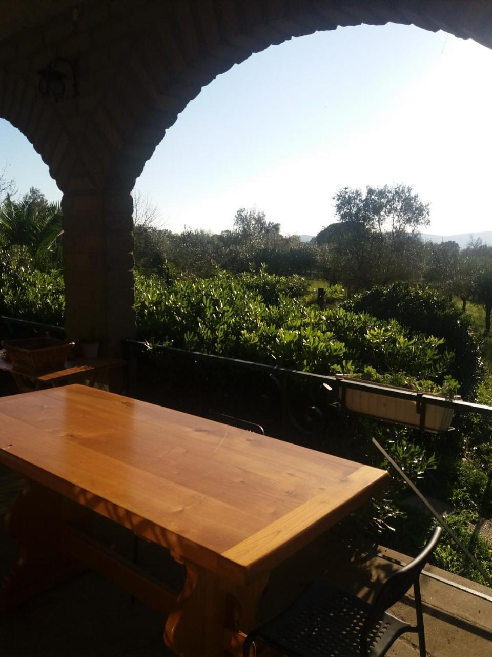 Autenticum Agriturismo Villa Canale Monterano Dış mekan fotoğraf